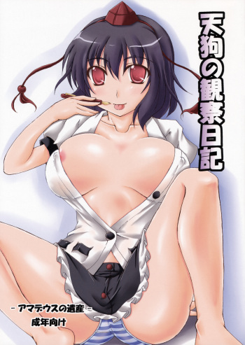 (C74) [Amadeus no Isan (Fujihara Shu, Aoba Shou)] Tengu no Kansatsu Nikki (Touhou Project) cover