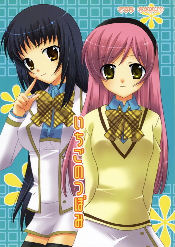 (C71) [ANGELBOX (Hazuki Ruka)] Ichigo no Tsubomi (Strawberry Panic!) [English] [SnY] cover