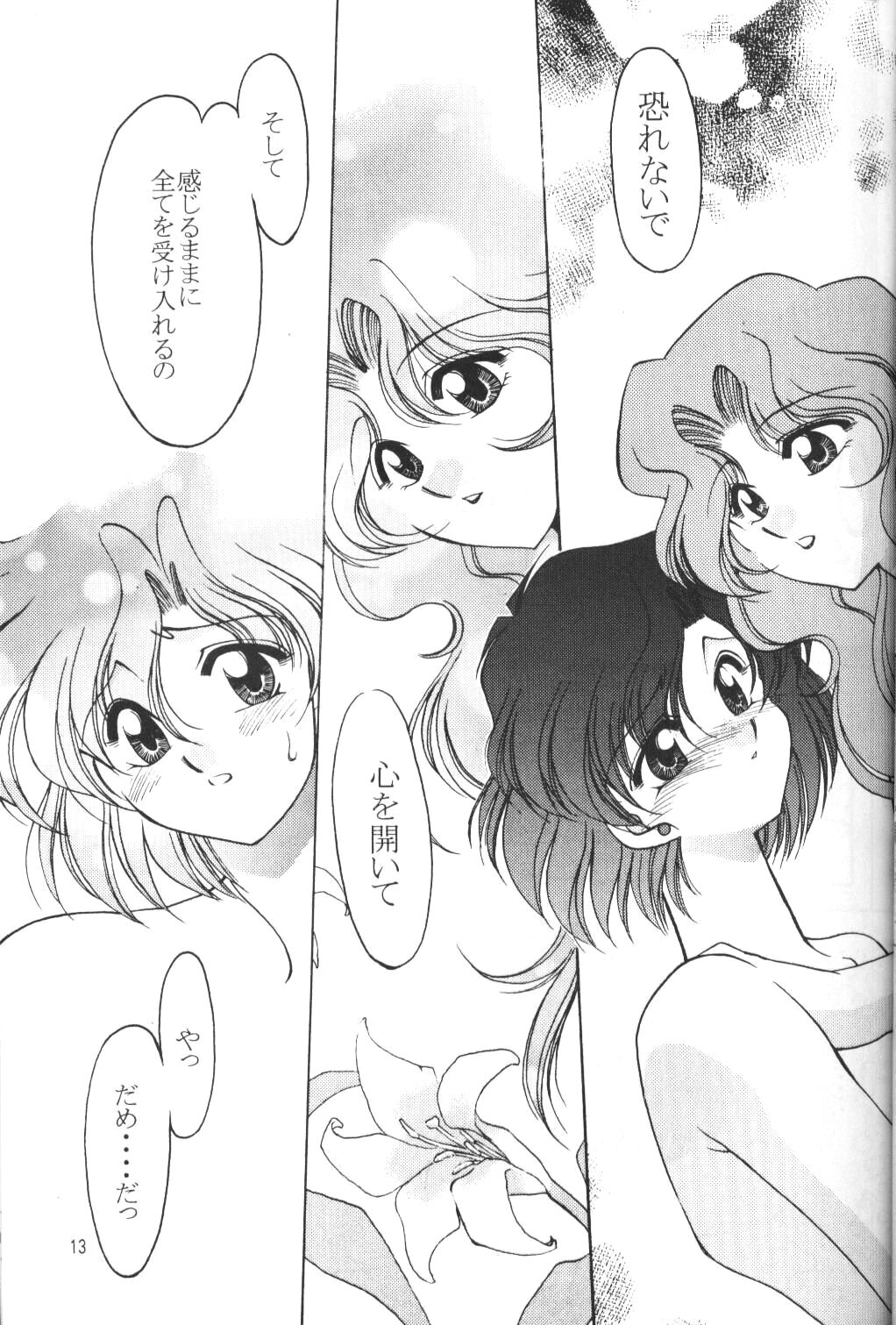 Rose Water 5 Rose Hip page 12 full