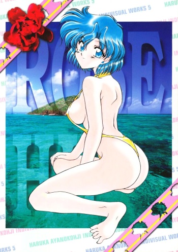(C52) [Rose Water (Haruka Ayanokouji)] Rose Water 5 Rose Hip (Bishoujo Senshi Sailor Moon) cover