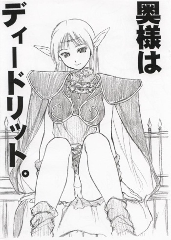 [Hellabunna (Iruma Kamiri)] Okusama wa Deedlit. (Record of Lodoss War) cover
