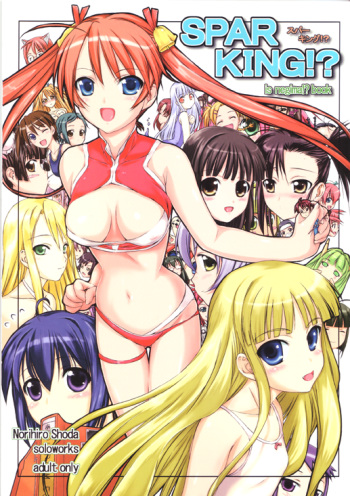 [OBSIDIAN ORDER] SPARKING! ( Mahou Sensei Negima ) cover