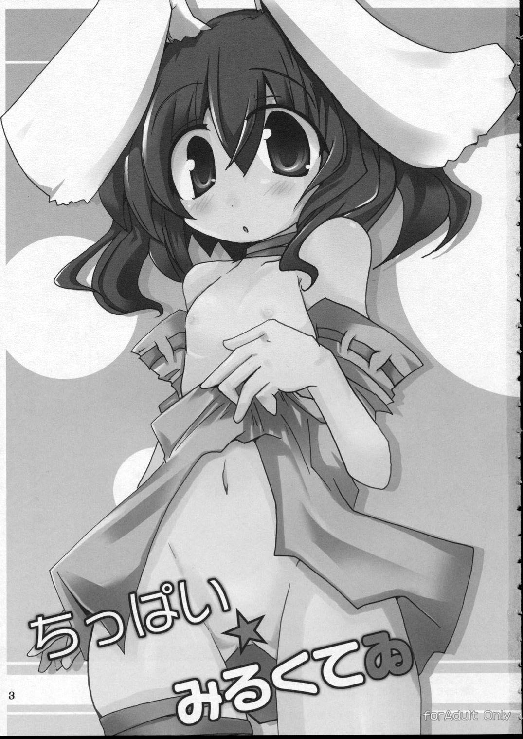 Chippai Milk Tewi page 2 full
