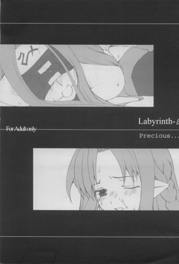 (CR35) [Precious... (Haoto Luna)] Labyrinth-&beta; (Fate/stay night) cover