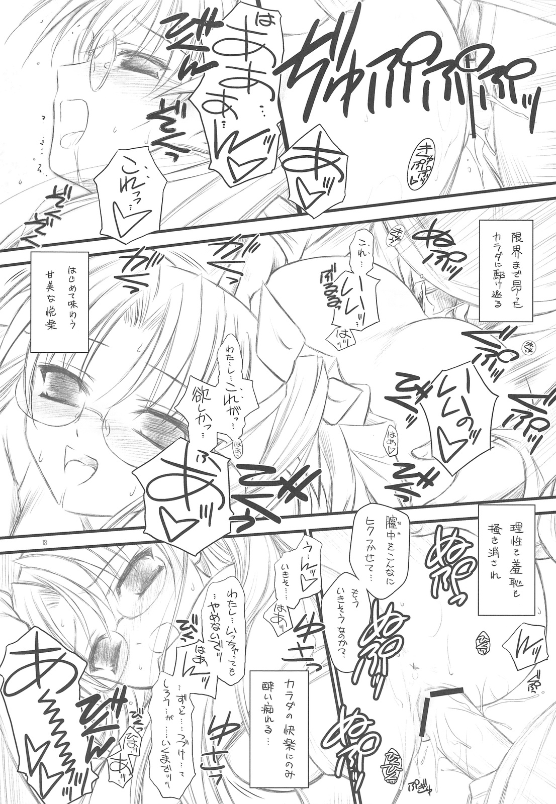 PP2+ page 12 full