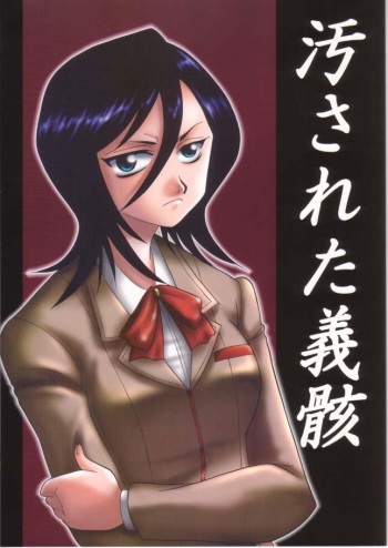 (C61) [Ginmomodou (Mita Satomi)] Yogosareta Gigai (Bleach) cover