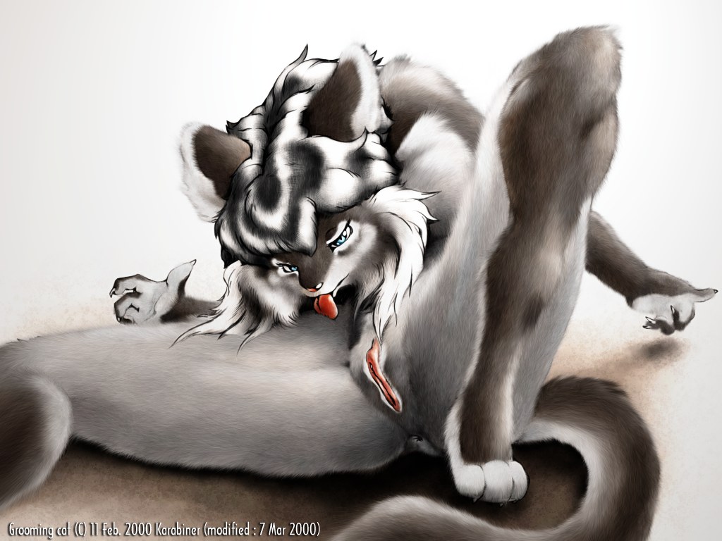 Feline Collection page 2 full
