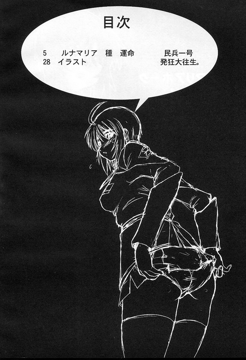 Lunamaria Hawke Deru wa yo! page 2 full