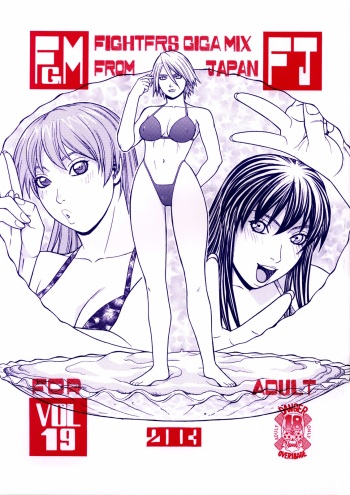 [From Japan (Aki Kyouma)] FIGHTERS GiGaMIX FGM vol.19 (Dead or Alive) cover