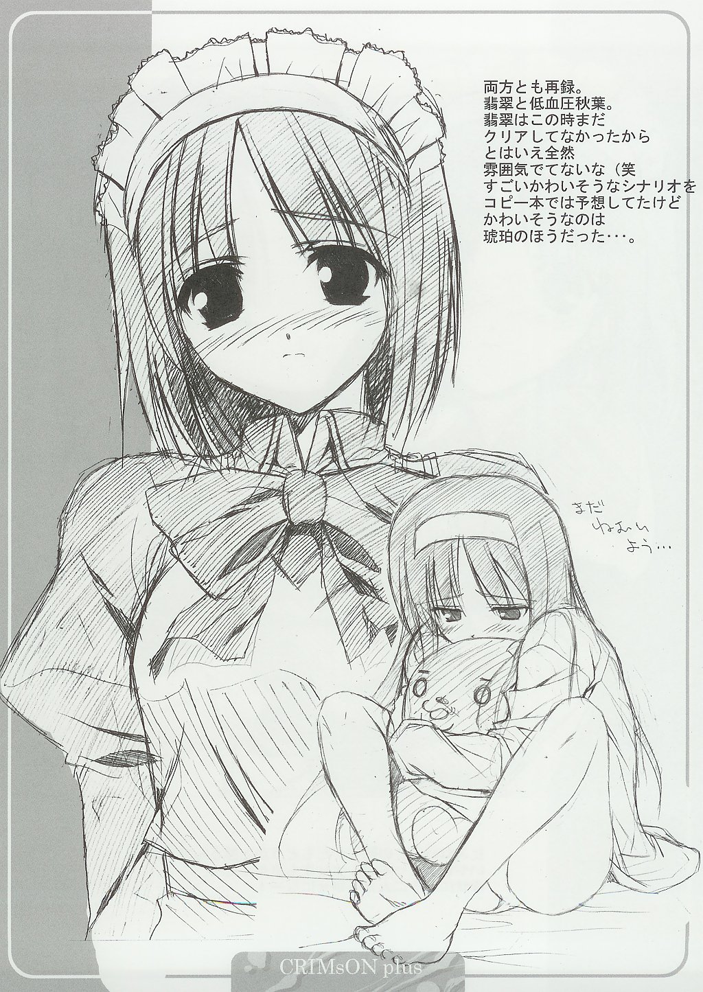 CRIMsON plus page 11 full