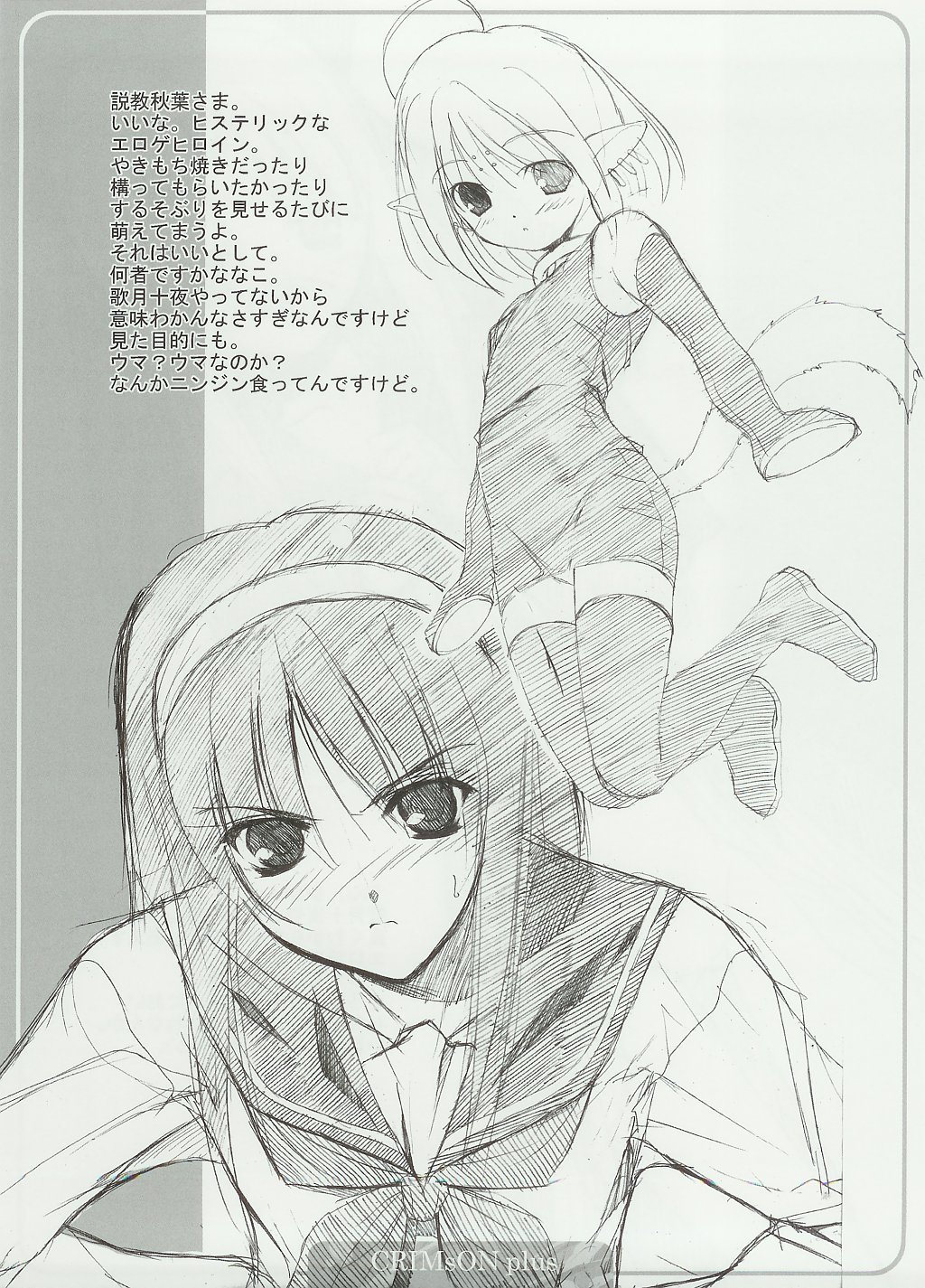 CRIMsON plus page 12 full