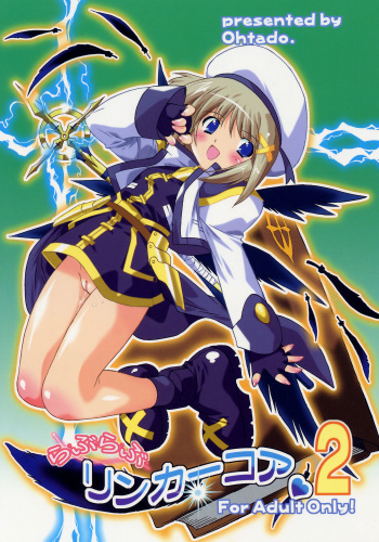 (C70) [OHTADO (Oota Takeshi)] LOVE LOVE LINKER CORE 2 (Mahou Shoujo Lyrical Nanoha) cover