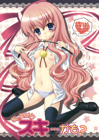 (C74) [SimaSima System (Nagisawa You)] Chotto Dake Suki... Kamo? (Zero no Tsukaima) cover