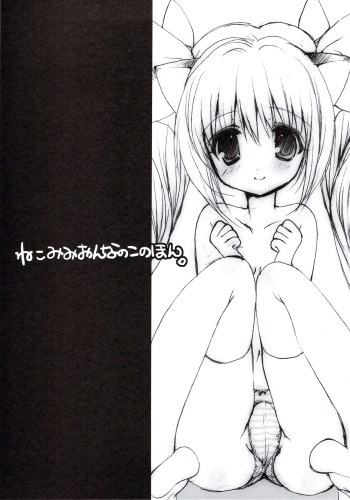 (C74) [Courmet-Nyankichi (Nekoyashiki Nekomaru)] Nekomimi Onna no Ko no Hon cover