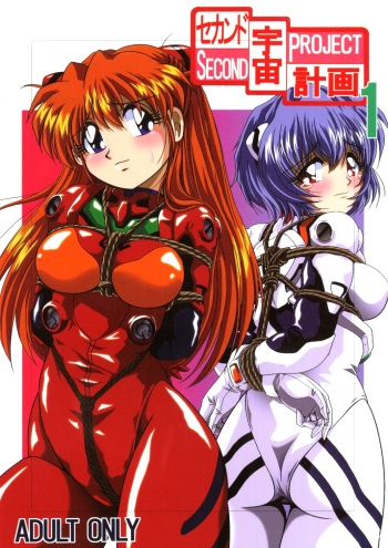 [Thirty Saver Street 2D Shooting (Maki Hideto, Sawara Kazumitsu, Yonige-ya No Kyou)] Second Uchuu Keikaku (Neon Genesis Evangelion) cover