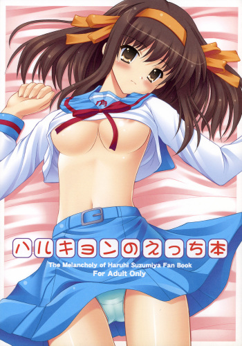 [Turning Point (Uehiro)] Harukyon no Ecchi Hon (The Melancholy of Haruhi Suzumiya) cover