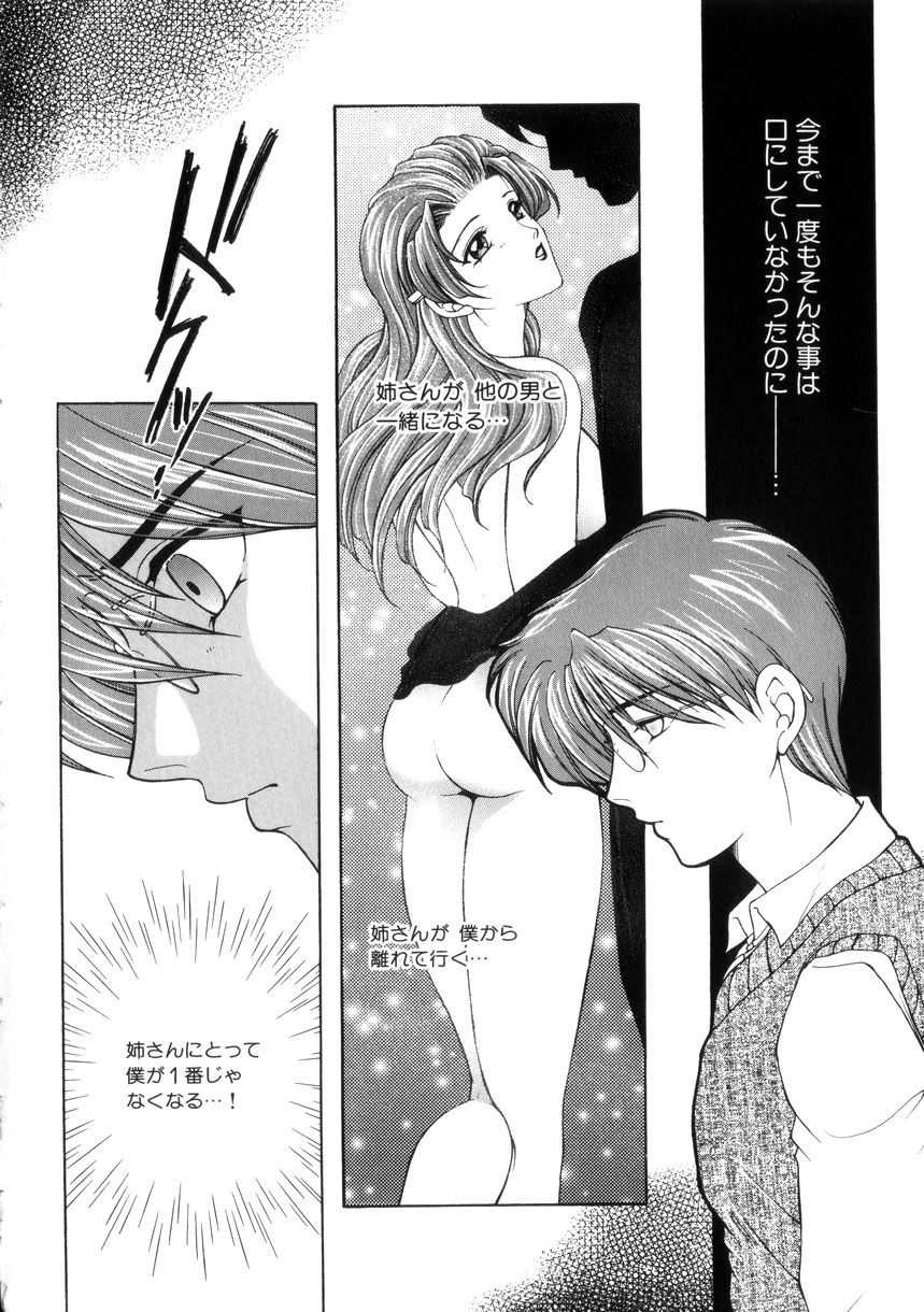 Junjou Karen - Purehearted and Vicious Love- page 11 full