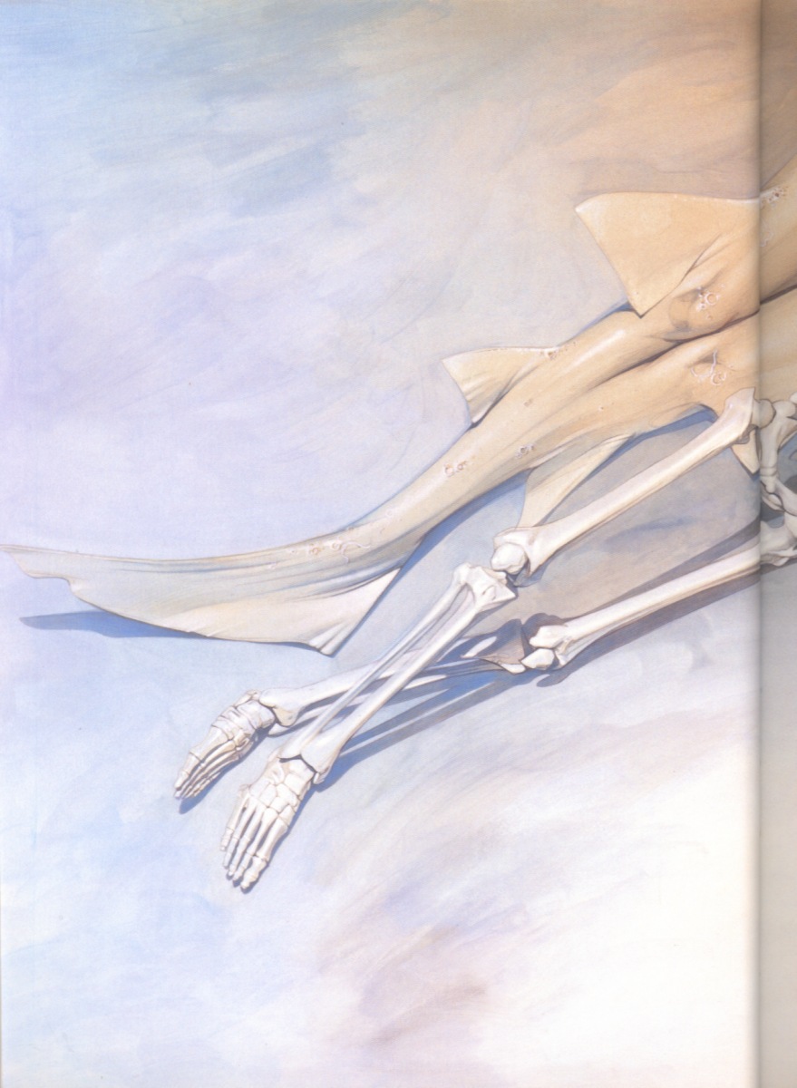 Hajime Sorayama - Venom Artbook page 11 full