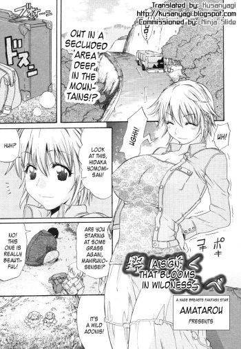 [Amatarou] No ni Saku Shirube (COMIC Megastore 2006-07) [English] {Kusanyagi} cover