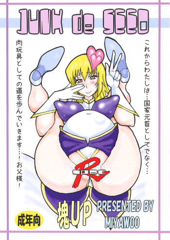 (C75) [Tamashii UP (Miyawoo)] JUNK de SEED (Kidou Senshi Gundam SEED DESTINY / Mobile Suit Gundam SEED DESTINY) cover