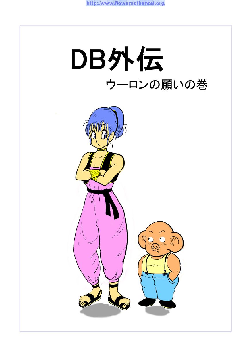 DB Gaiden - Oolong no Negai no Maki page 1 full