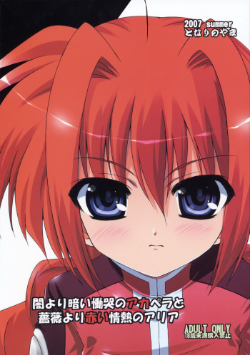 (C72) [Tonarinoyama (Yokoyama Kouji)] Yami yori Kurai Doukoku no A capella to Bara yori Akai Jounetsu no Aria (Mahou Shoujo Lyrical Nanoha) cover