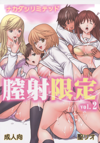 (C73) [St. Rio (Katana Kaji, Kitty, Purin)] Chitsui Gentei Nakadashi Limited vol.2 (Hatsukoi Gentei) cover
