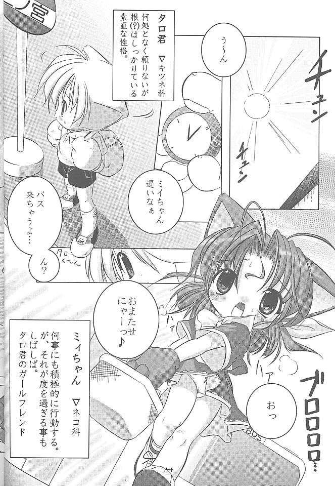 MIRACLE SWEET DREAM page 3 full