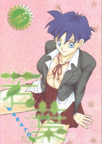 [Chirigami Goya, Fusuma go Ten (Shoji Hariko, Kuri)] Wakayo (Dragon Ball) cover
