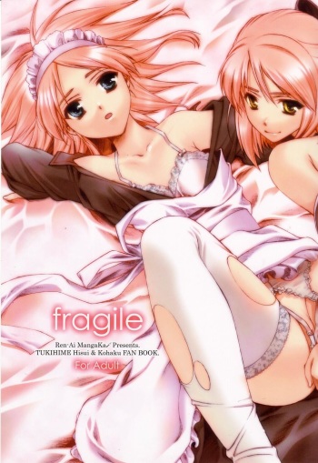 (C62) [Renai Mangaka (Naruse Hirofumi)] fragile (Tsukihime) cover