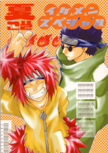 Natsukoso Ikemen Special cover