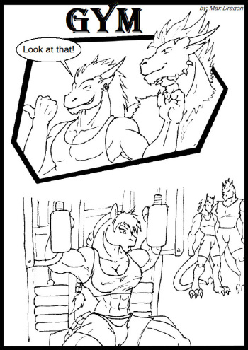 [Max Dragon] Gym cover