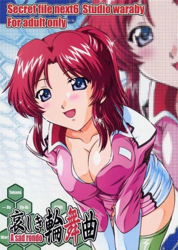(CR33) [Studio Wallaby (Takana Yu-ki)] SECRET FILE NEXT 6 (Kidou Senshi Gundam SEED) cover
