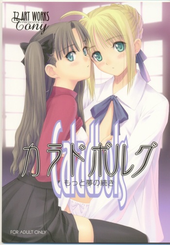 (C66) [T2 ART WORKS (Tony)] Caladbolg Motto Yume no Tsuzuki (Fate/stay night) cover