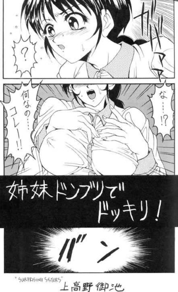 (story) Shimai donburi de dokkori!! cover