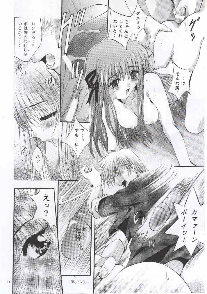 SHADOW CANVAS 11 page 11 full
