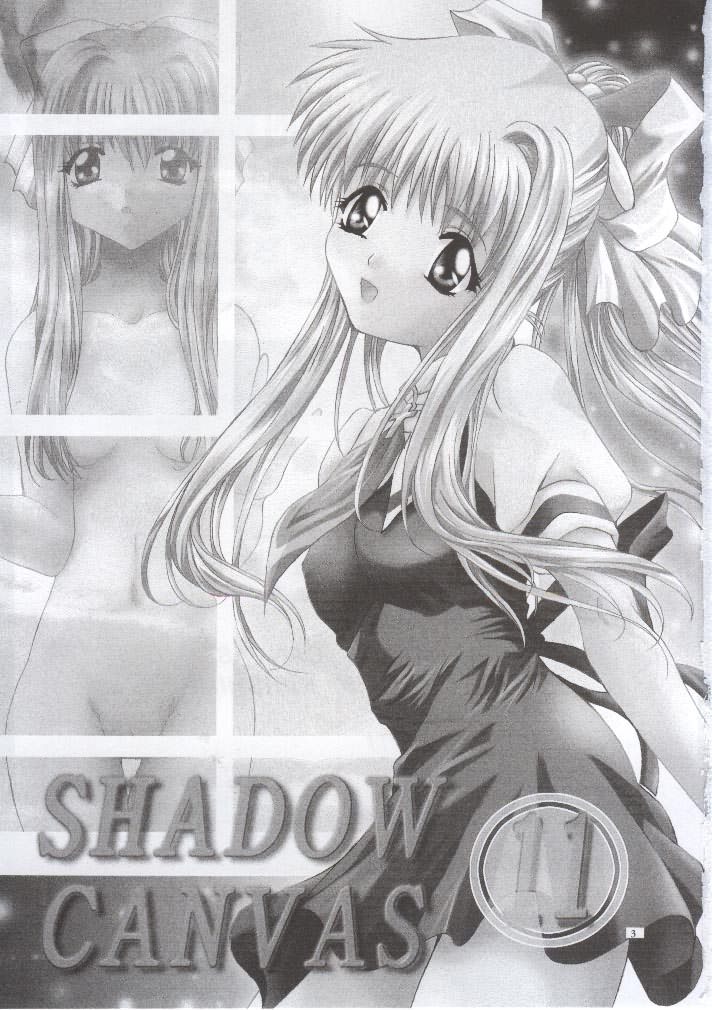 SHADOW CANVAS 11 page 2 full