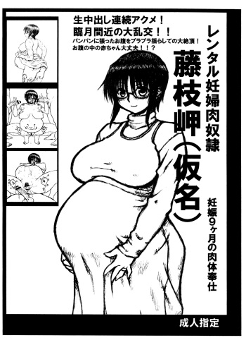 (A3) [Domestic animals (Murasame Maru)] Rental Ninpu Nikudorei Fujieda Misaki (Kamei) cover