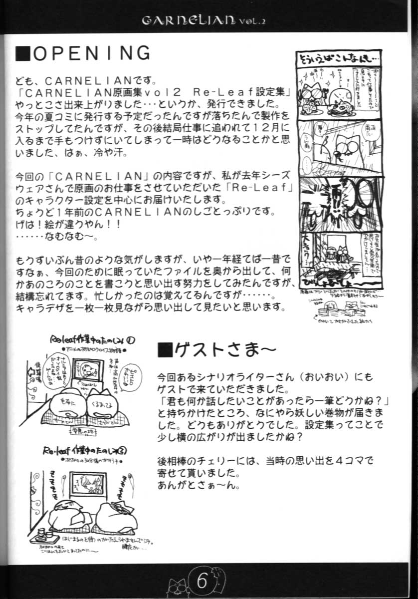 CARNELIAN vol.2  - Re&middot;Leaf Settei Shiryou Tsudo page 5 full