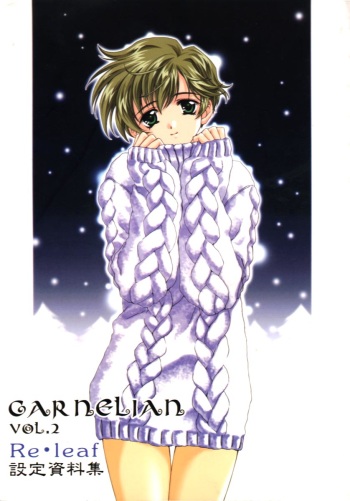 [CARNELIAN] CARNELIAN vol.2  - Re&middot;Leaf Settei Shiryou Tsudo cover
