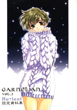 CARNELIAN vol.2  - Re&middot;Leaf Settei Shiryou Tsudo