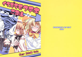 (C74) [Earnestly Jet City (Kojima, Sasaki)] Itazura Mokuteki ni Yoru (Touhou Project) cover