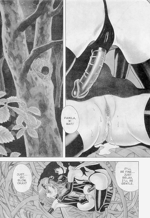 The New Bondage Fairies 06 page 3 full