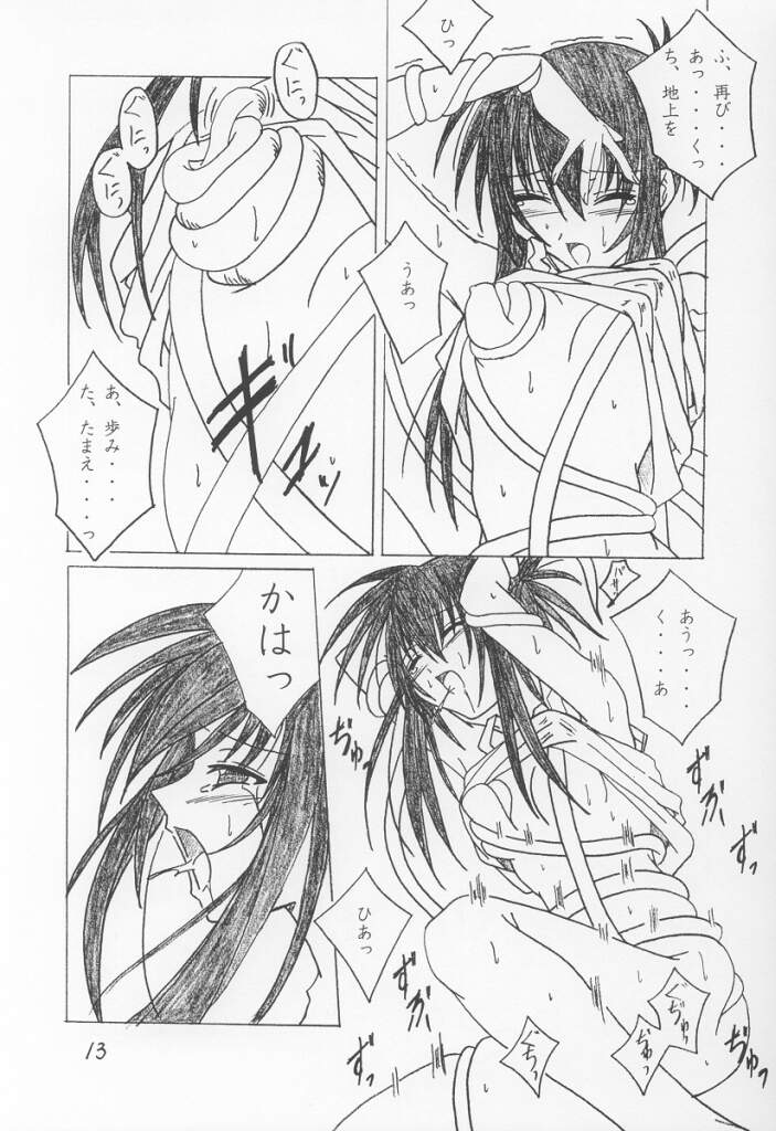 13 page 12 full