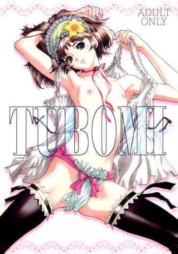 (C62) [STUDIO PAL (Hazuki Kaoru)] TUBOMI [Incomplete] cover