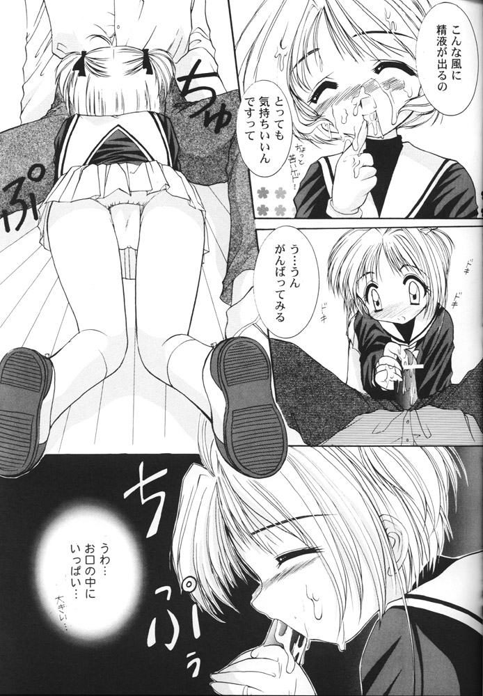 S-package page 12 full