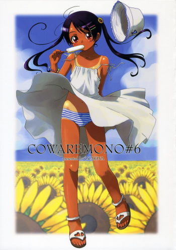 (C70) [Ocarina (Dyontairan)] Cowaremono #6 cover