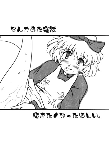 (C75) [Sekitan Bukuro (Fey Tas)] Nanka Mata Totsuzen Kakitaku natta rashii. (Touhou Project) cover