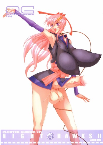 (C69) [HGH (HG Chagawa)] Pleated Gunner #14 - Night Hawks 2 (Gundam SEED DESTINY) cover