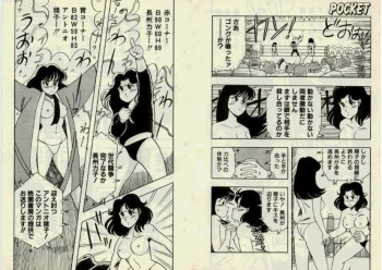 Lesbian Wrestling cover